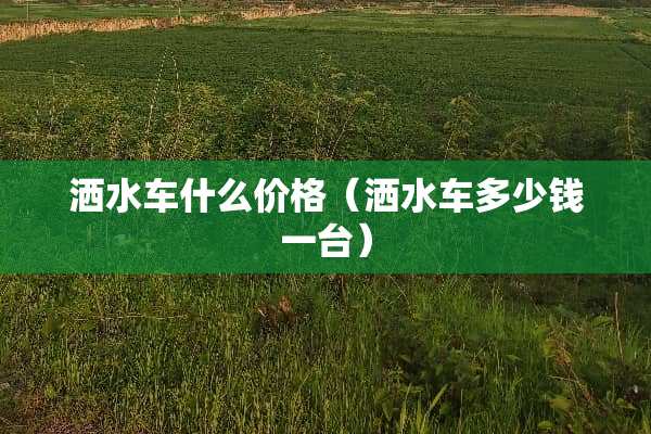 洒水车什么价格（洒水车多少钱一台）