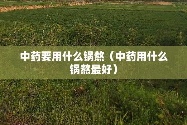 中药要用什么锅熬（中药用什么锅熬最好）
