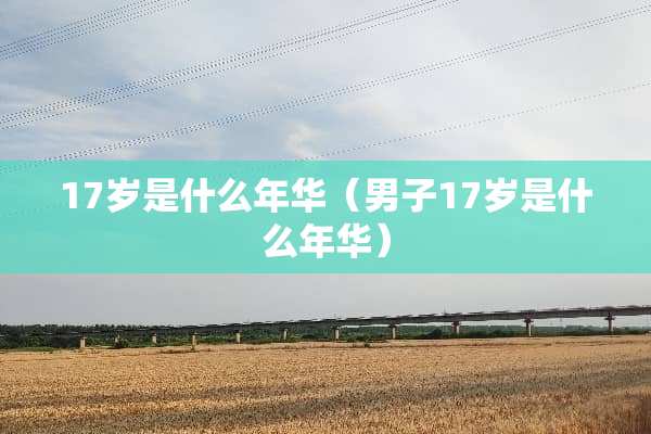 17岁是什么年华（男子17岁是什么年华）