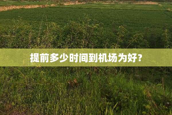提前多少时间到机场为好？