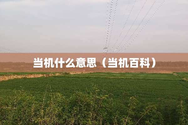 当机什么意思（当机百科）