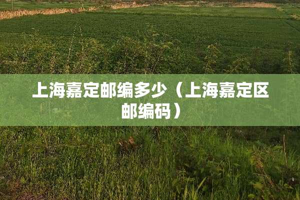 上海嘉定邮编多少（上海嘉定区邮编码）
