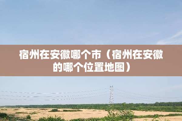 宿州在安徽哪个市（宿州在安徽的哪个位置地图）