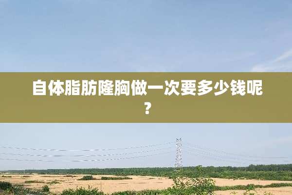 自体脂肪隆胸做一次要多少钱呢？