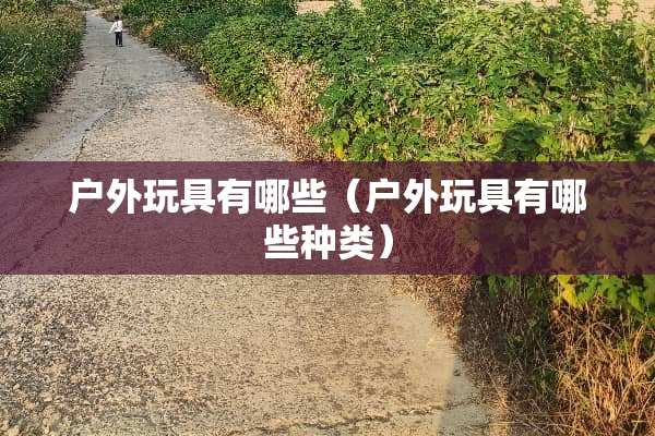 户外玩具有哪些（户外玩具有哪些种类）