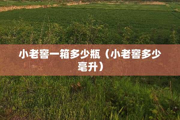小老窖一箱多少瓶（小老窖多少毫升）