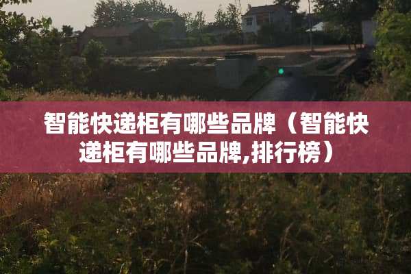智能快递柜有哪些品牌（智能快递柜有哪些品牌,排行榜）