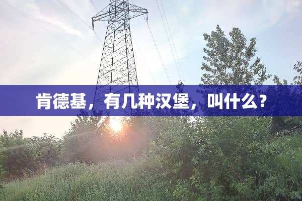 肯德基，有几种汉堡，叫什么？
