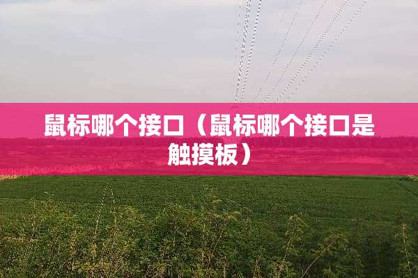 鼠标哪个接口（鼠标哪个接口是触摸板）