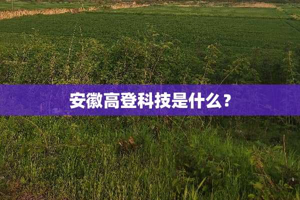 安徽高登科技是什么？