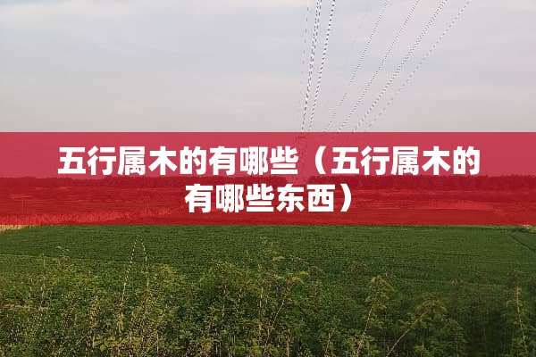 五行属木的有哪些（五行属木的有哪些东西）