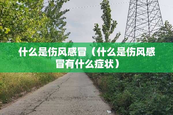 什么是伤风感冒（什么是伤风感冒有什么症状）