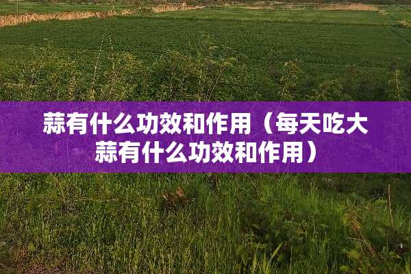 蒜有什么功效和作用（每天吃大蒜有什么功效和作用）