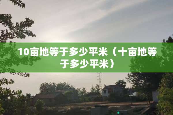 10亩地等于多少平米（十亩地等于多少平米）