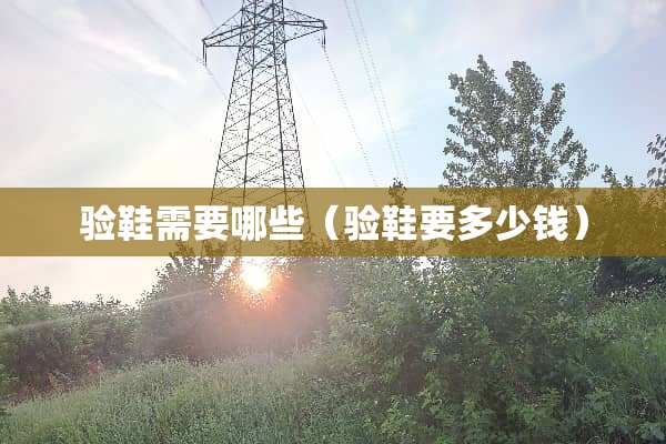 验鞋需要哪些（验鞋要多少钱）