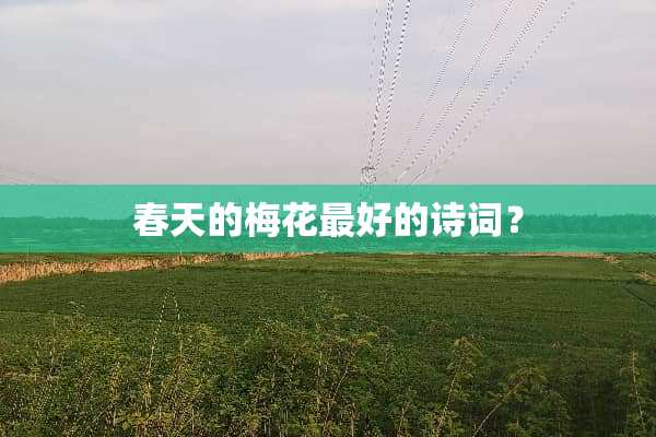 春天的梅花最好的诗词？