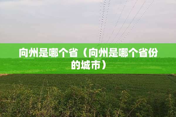 向州是哪个省（向州是哪个省份的城市）