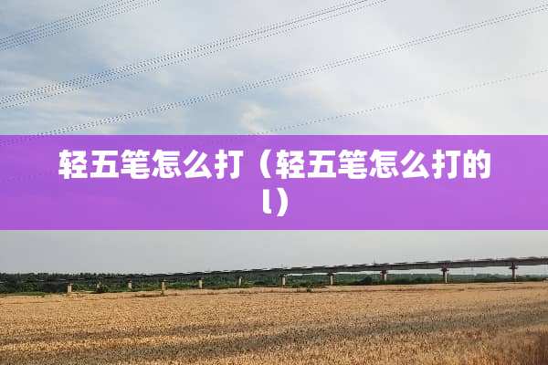 轻五笔怎么打（轻五笔怎么打的l）