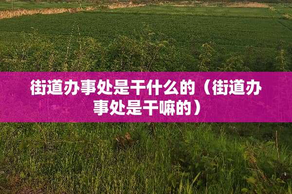街道办事处是干什么的（街道办事处是干嘛的）