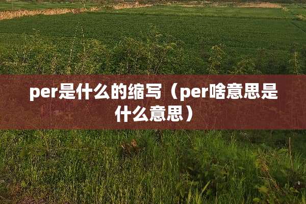 per是什么的缩写（per啥意思是什么意思）