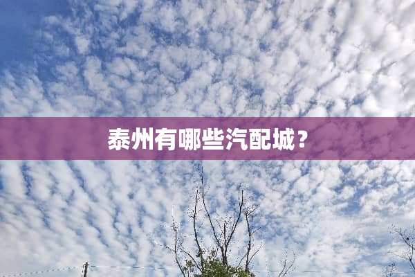 泰州有哪些汽配城？