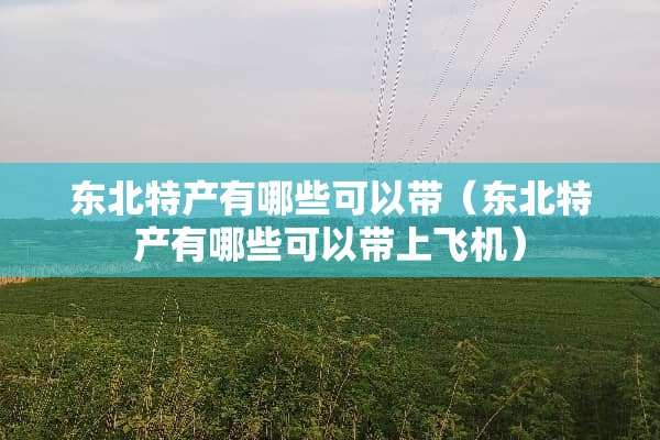 东北特产有哪些可以带（东北特产有哪些可以带上飞机）