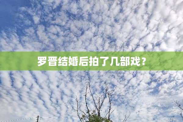 罗晋结婚后拍了几部戏？