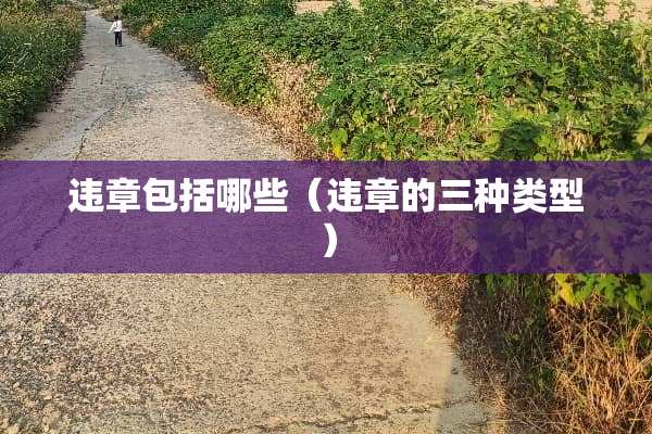 违章包括哪些（违章的三种类型）