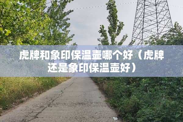 虎牌和象印保温壶哪个好（虎牌还是象印保温壶好）
