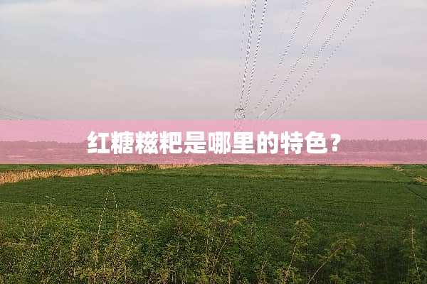 红糖糍粑是哪里的特色？