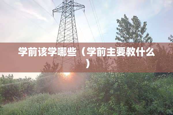 学前该学哪些（学前主要教什么）