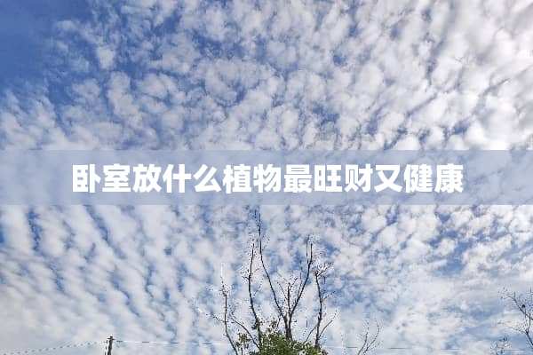 卧室放什么植物最旺财又健康