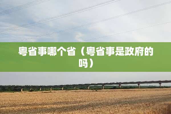 粤省事哪个省（粤省事是**的吗）