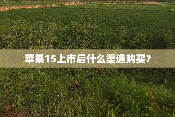 苹果15上市后什么渠道购买？
