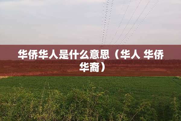华侨华人是什么意思（华人 华侨 华裔）