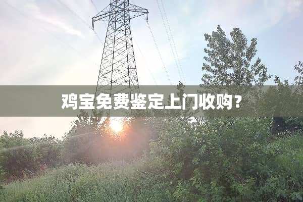 鸡宝免费鉴定上门收购？