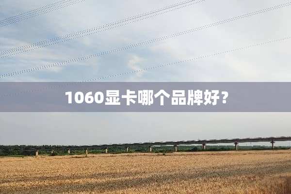 1060显卡哪个品牌好？