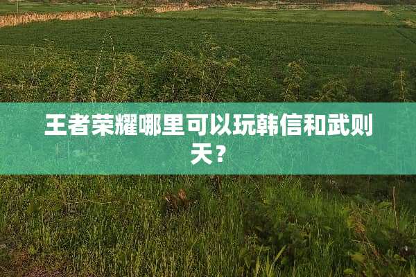 王者荣耀哪里可以玩韩信和武则天？