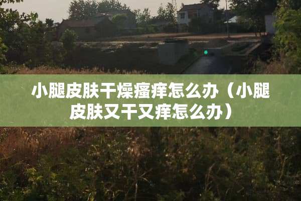 小腿皮肤干燥瘙痒怎么办（小腿皮肤又干又痒怎么办）