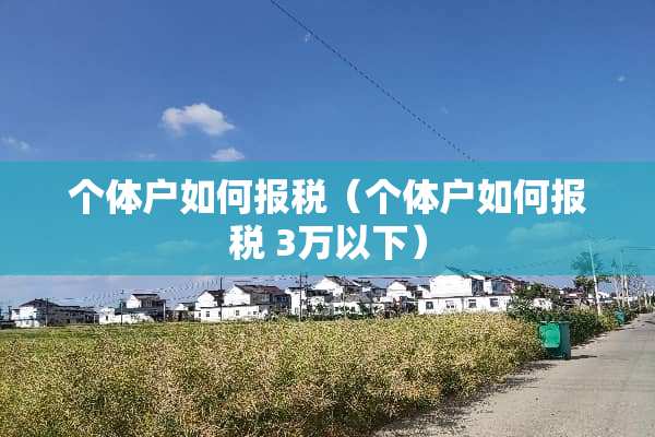 个体户如何**（个体户如何** 3万以下）