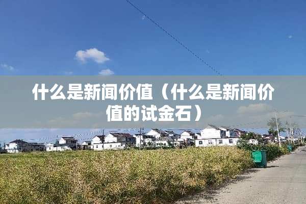 什么是新闻价值（什么是新闻价值的试金石）