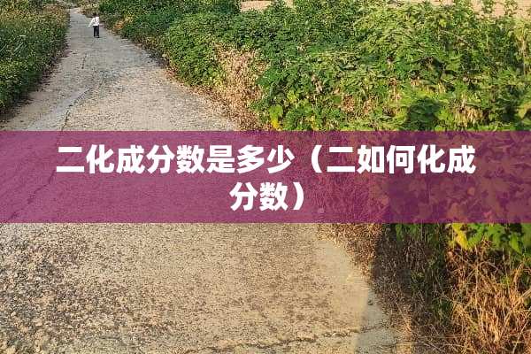二化成分数是多少（二如何化成分数）