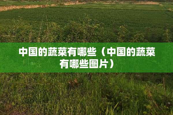 中国的蔬菜有哪些（中国的蔬菜有哪些图片）