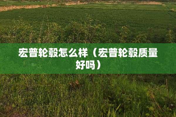 宏普轮毂怎么样（宏普轮毂质量好吗）