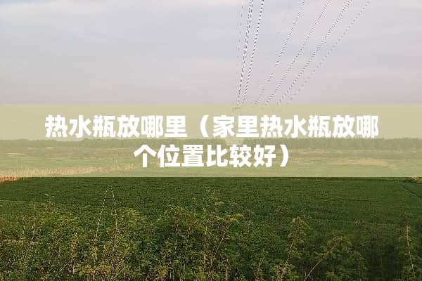 热水瓶放哪里（家里热水瓶放哪个位置比较好）