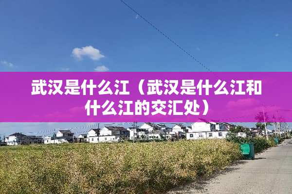 武汉是什么江（武汉是什么江和什么江的交汇处）