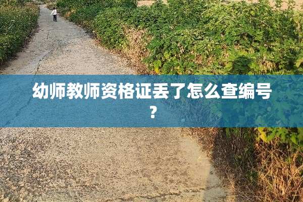 幼师教师资格证丢了怎么查编号？