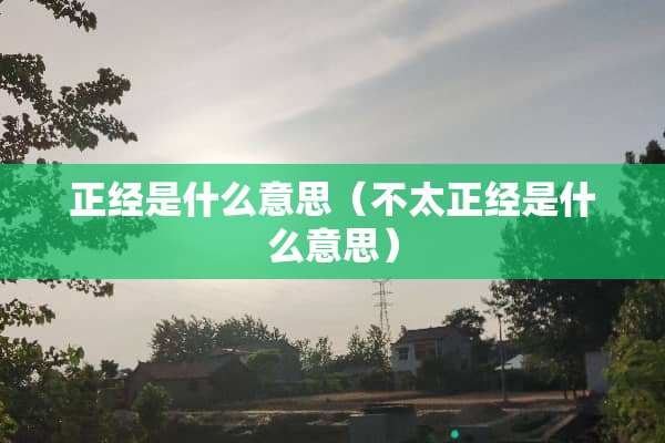 正经是什么意思（不太正经是什么意思）