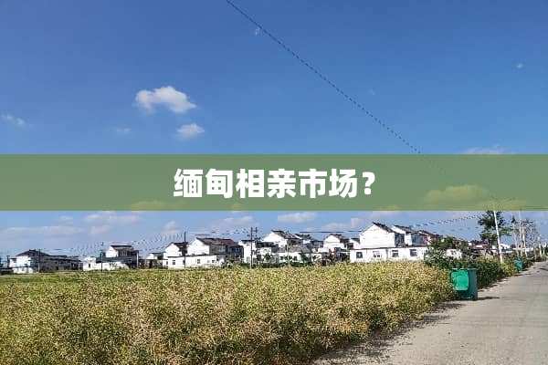 缅甸相亲市场？