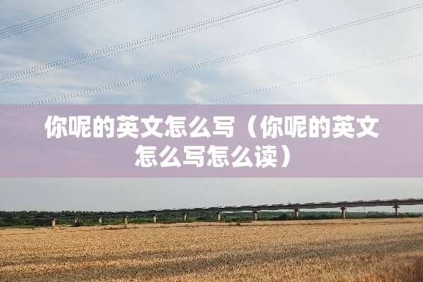 你呢的英文怎么写（你呢的英文怎么写怎么读）